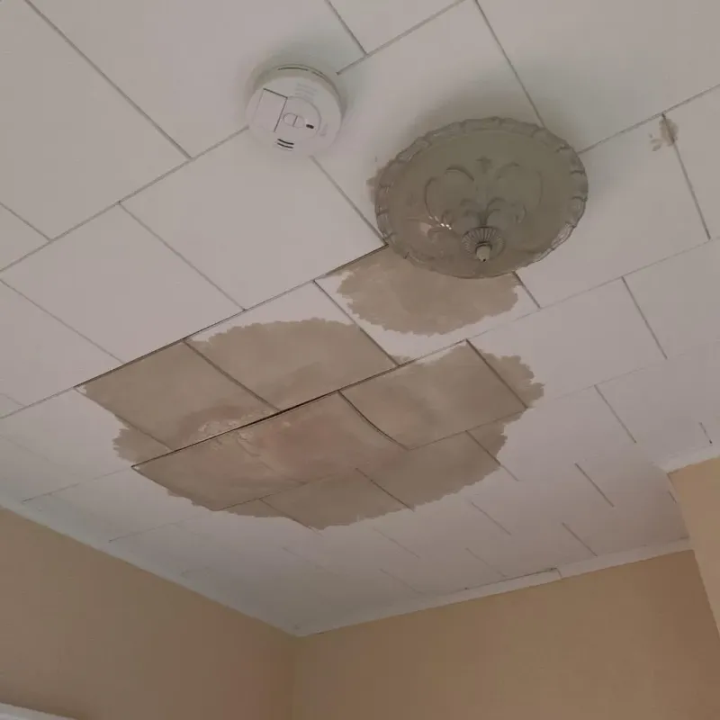 Ceiling Water Damage Repair in Rossville, KS