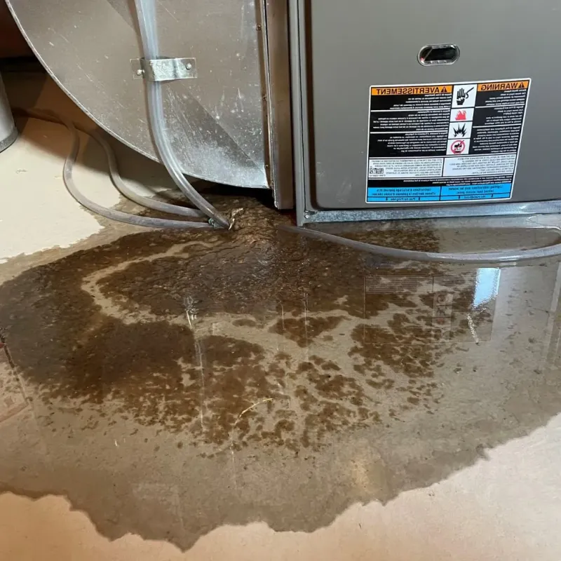 Pipe Burst and Leak Restoration in Rossville, KS