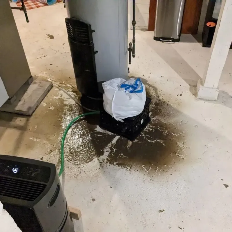 Sewage Backup Cleanup Service in Rossville, KS
